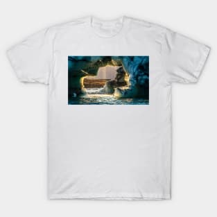 Melting Iceberg. T-Shirt